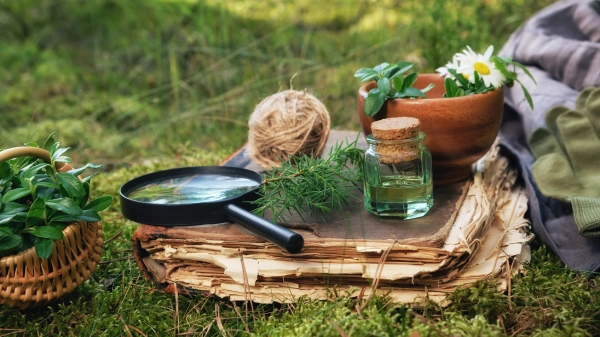 Une loupe et des plantes sur un vieux livre dans le gazon.